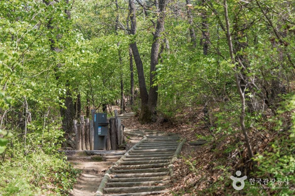 thumbnail-오동근린공원-13