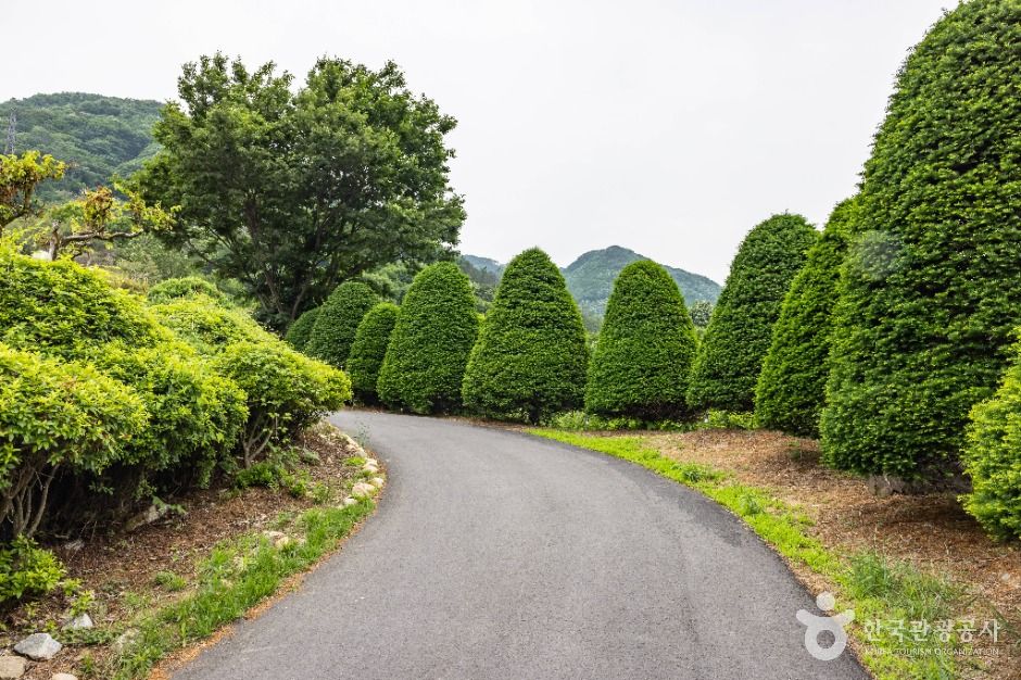 thumbnail-호슬로 정원-14