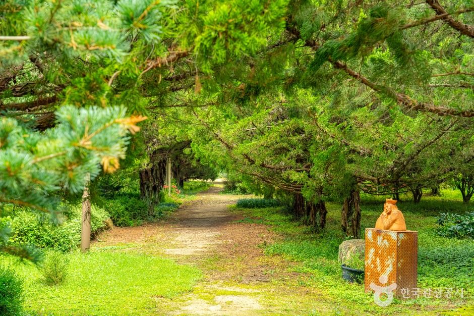 천개의향나무숲