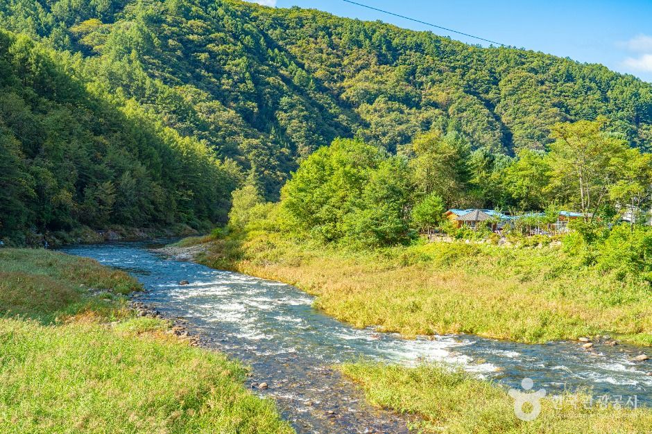 thumbnail-수입천-7