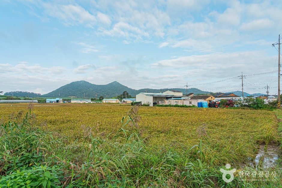 thumbnail-진도 소포검정쌀마을-13