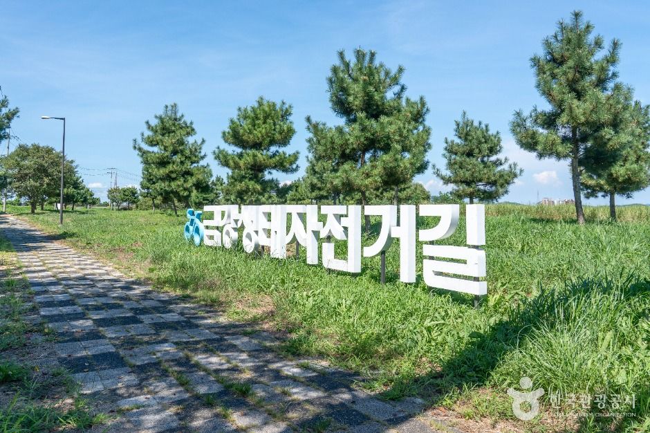 서천_금강2경 도보여행길 (4)