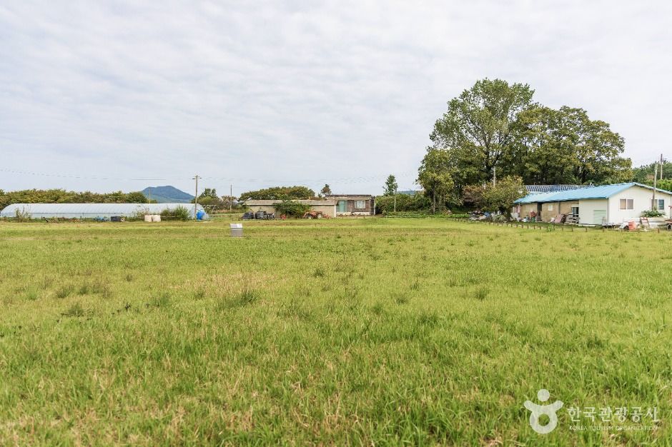 thumbnail-익산제석사지-6