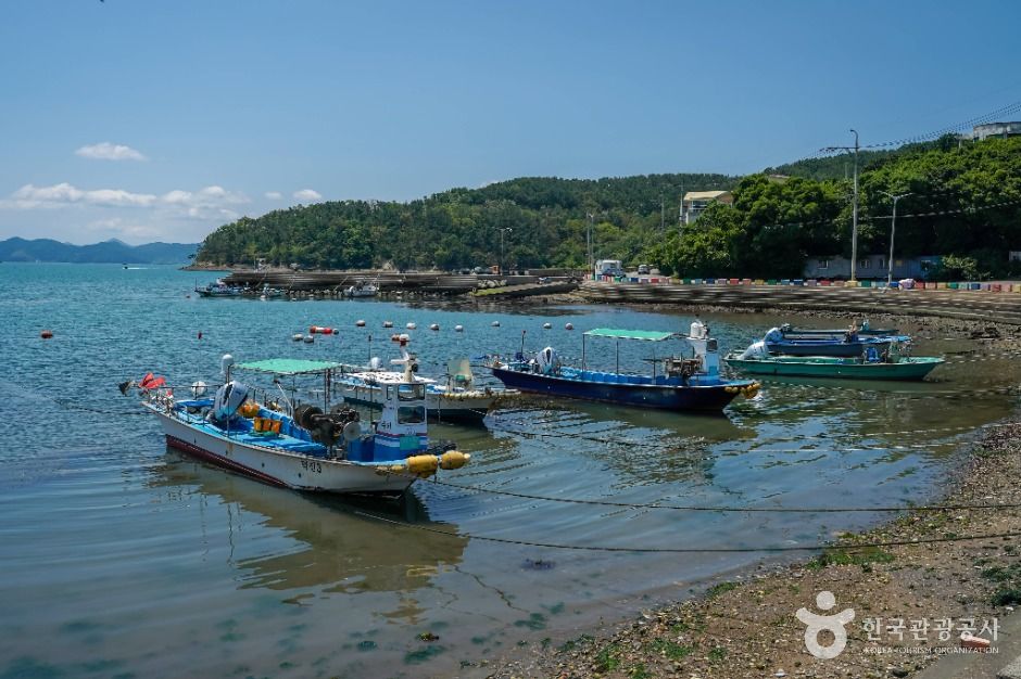 thumbnail-수치해안-1