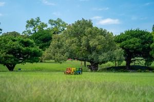 대구_대구 달성공원 (7)