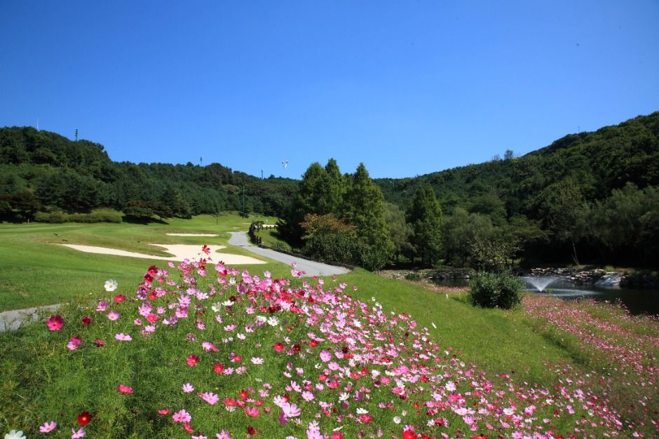용인_88컨트리클럽 (10)