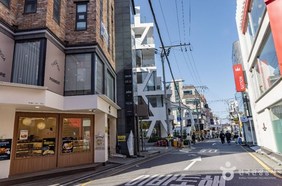 신사동 가로수길