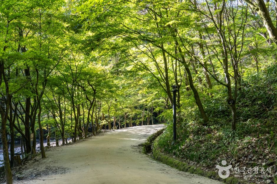 강천산 군립공원
