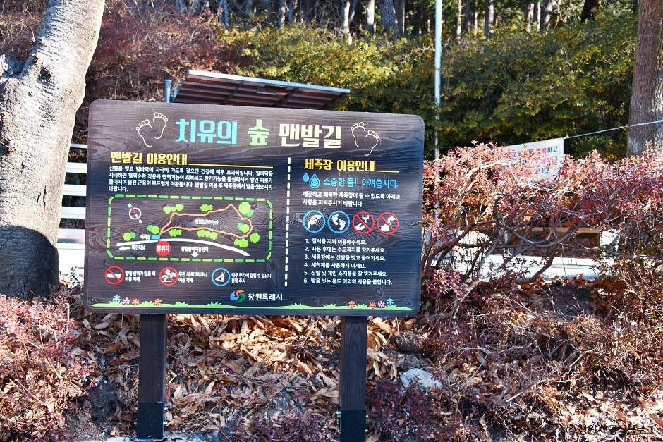 창원 편백 치유의 숲