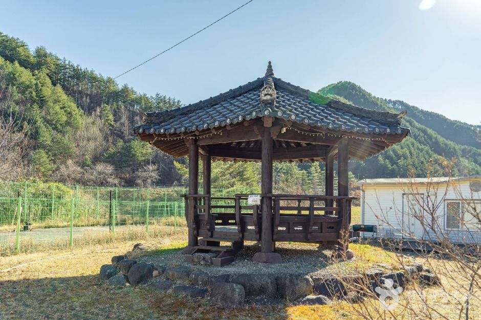 thumbnail-삼척 가시오가피마을-4