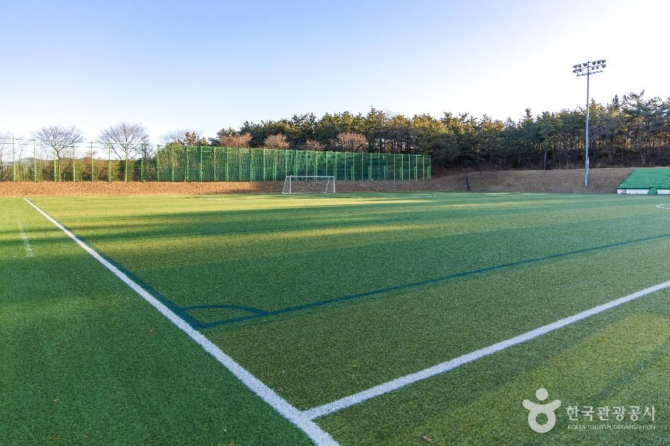 영해생활체육공원