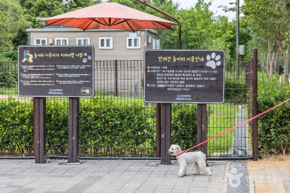 인천_인천대공원 반려동물 놀이터 (6)