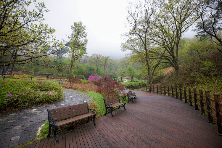 thumbnail-공주 산림휴양마을-5