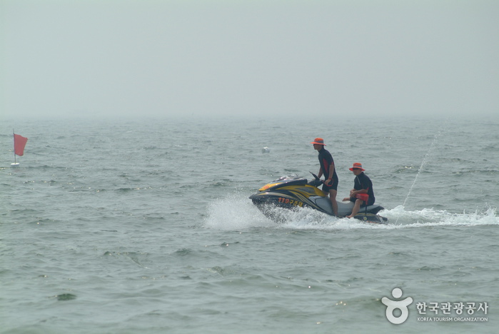 Daecheon Beach (대천해수욕장)