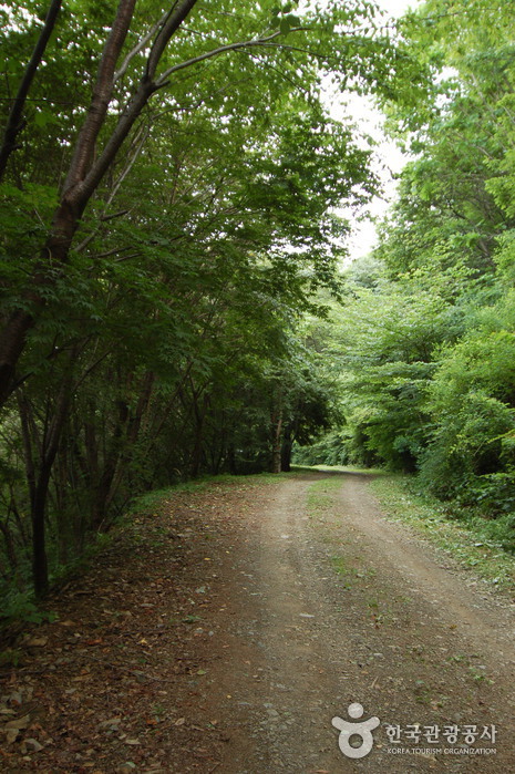Daedunsan Recreation Forest (대둔산자연휴양림)
