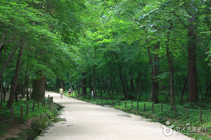 Gwangneung [UNESCO World Heritage] (남양주 광릉 [유네스코 세계문화유산])