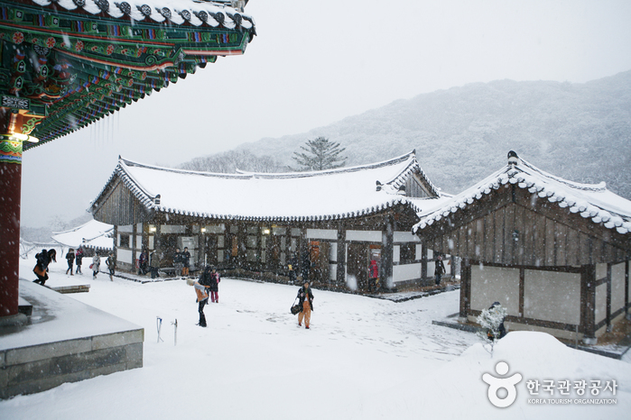Tempel Daeheungsa [UNESCO Weltkulturerbe] (대흥사[유네스코 세계문화유산])