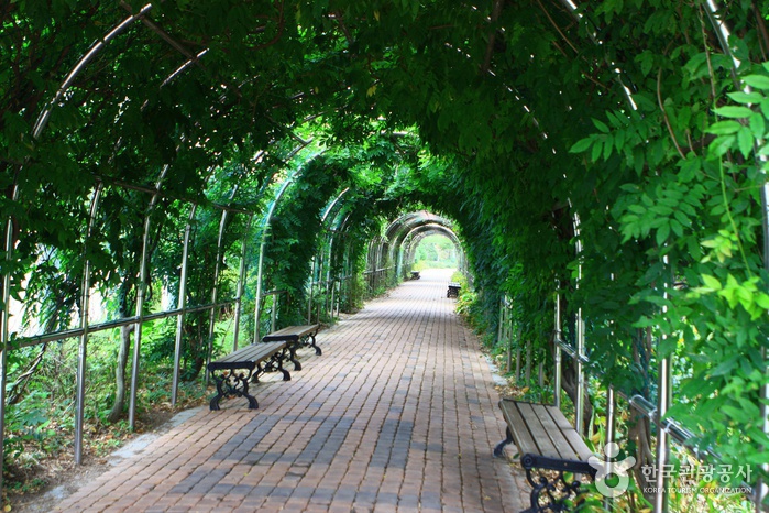 thumbnail-Mulhyanggi Arboretum (물향기수목원)-5