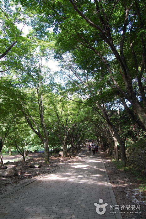 Naejangsa Temple (내장사)