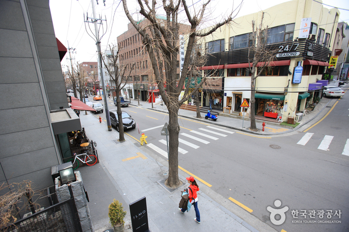 Sinsadong Garosu-gil Road (신사동 가로수길)