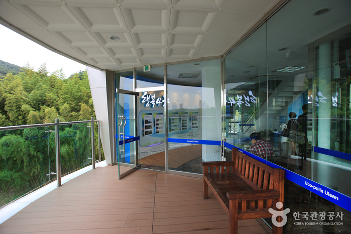 태화강 전망대2