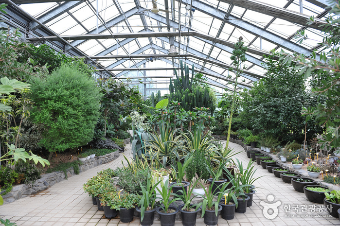 Jardin botanique de la société coréenne des autoroutes (한국도로공사수목원)