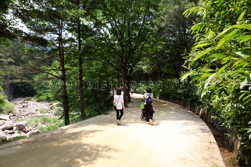 문경새재도립공원 사진30