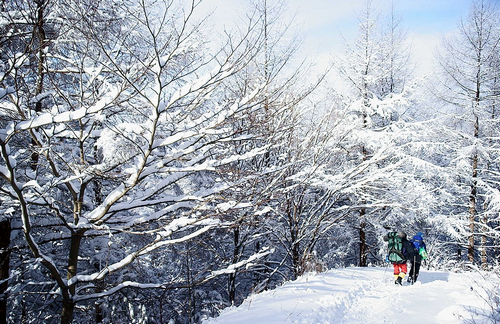 지리산 남원 바래봉 눈꽃축제 2018 사진12