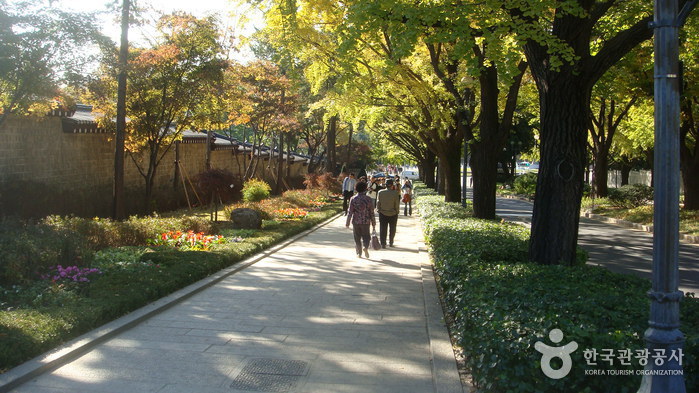 The Street in front of Cheongwadae (The Blue House) (청와대 앞길)