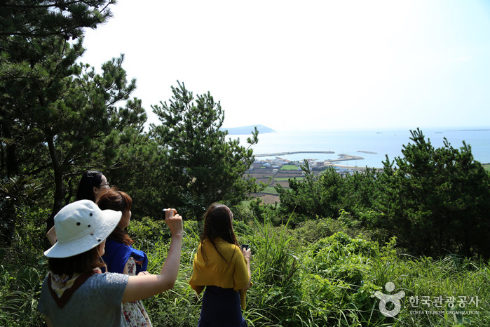 [제주올레 21코스] 하도-종달올레3