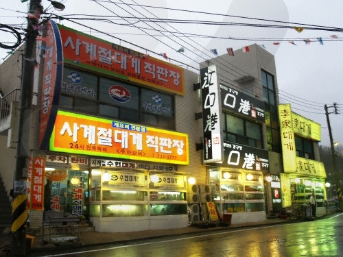 경북 영덕군 강구항