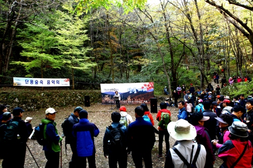 지리산 피아골 단풍축제 2014