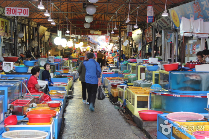 Mercado de Pescado de Masan (마산어시장)
