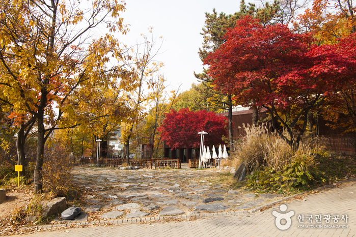 헤이리 예술마을 사진3
