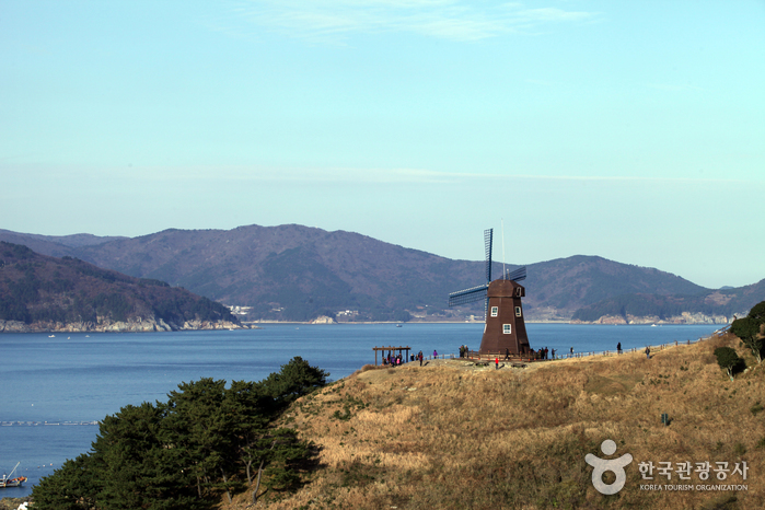 바람의 언덕 사진2