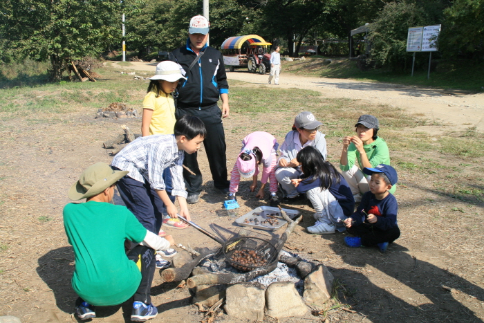 양평 몽땅구이축제 20191