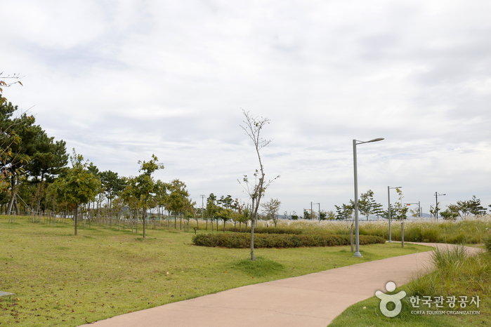 씨사이드파크해수족욕장1