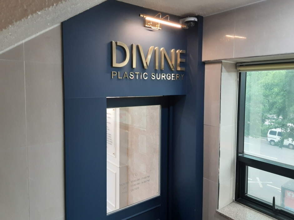 Divine Plastic Surgery [Tax Refund Shop] (디바인성형외과)