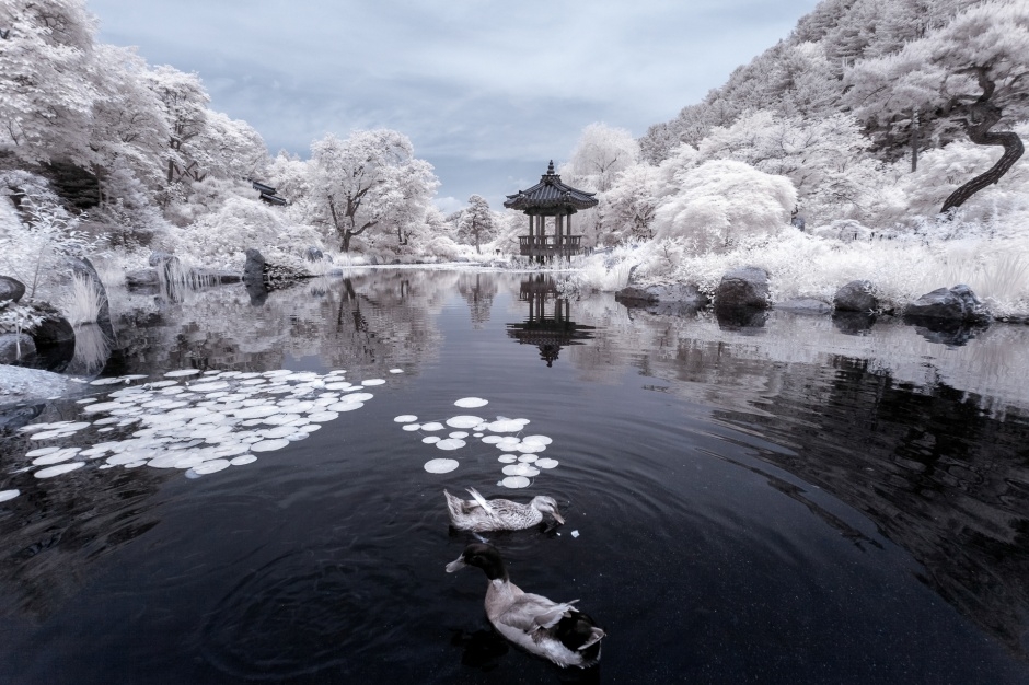 아침고요수목원