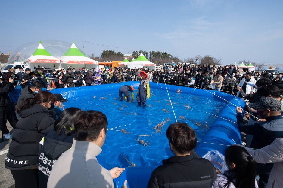 Yeongdeok Snow Crab Festival (영덕대게축제)