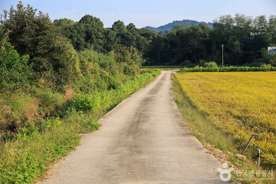 경기_안성_경기옛길 영남길 제9길 죽산성지순례길 (5)