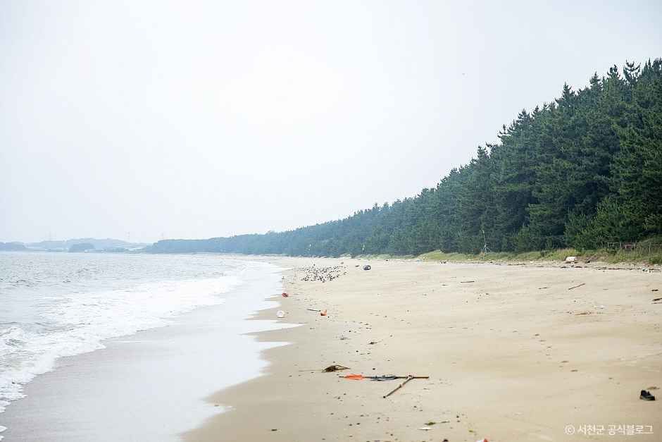 띠섬목해변