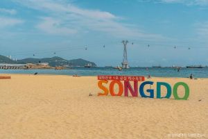 부산_서구_부산 송도해수욕장 (5)