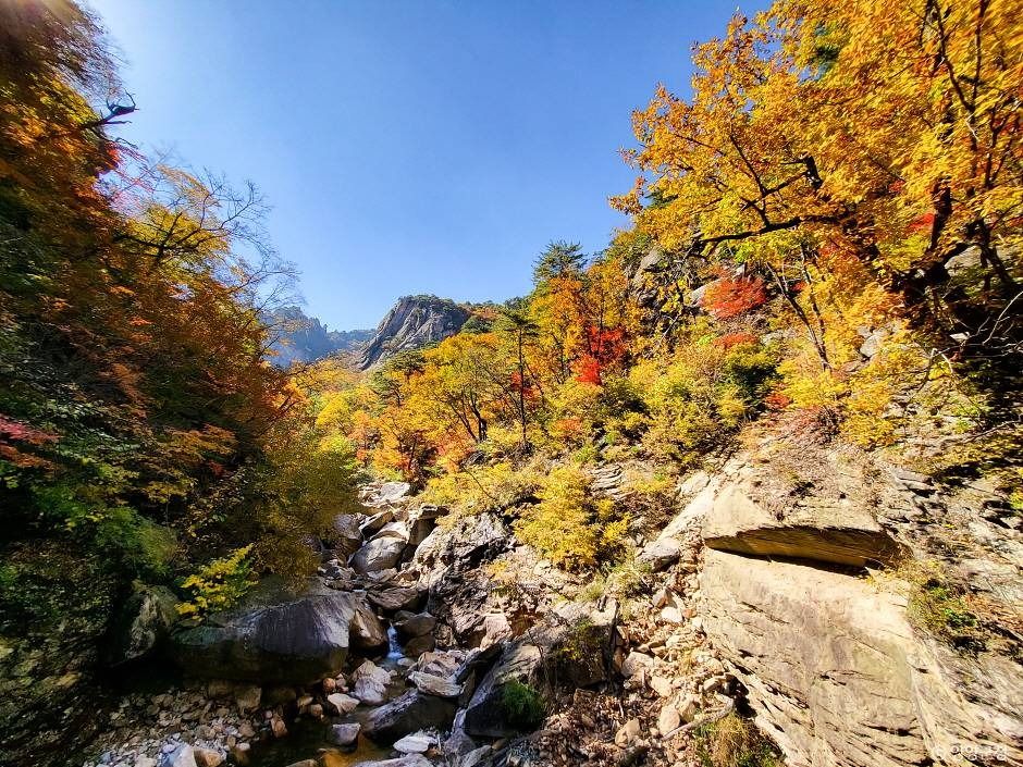 설악산 흘림골