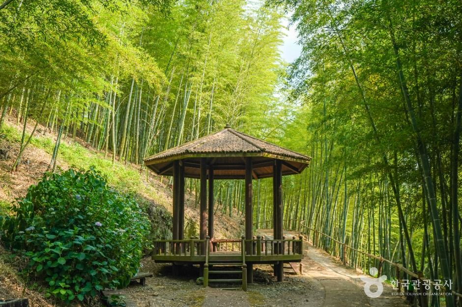거제맹종죽테마공원