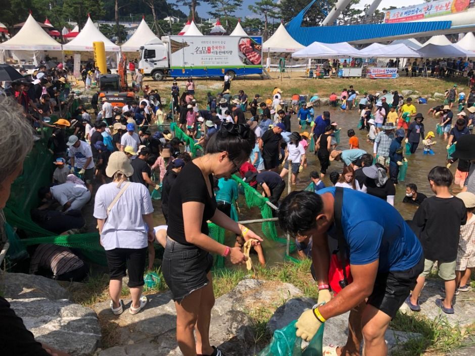 괴산고추축제