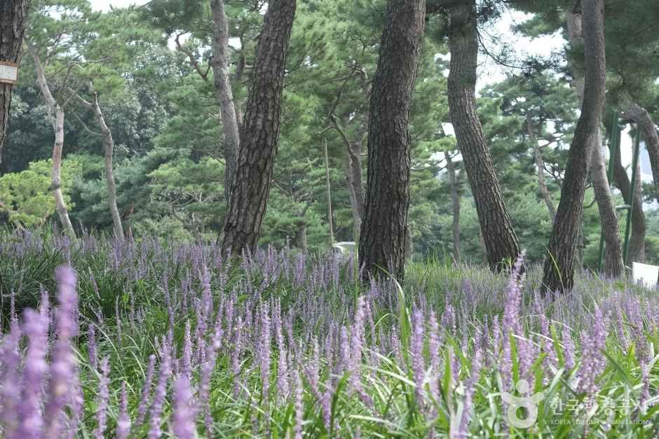 수원 노송공원