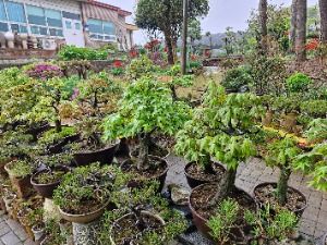 나주_충주산방 (7)