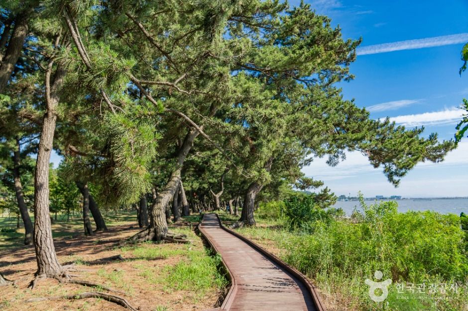 thumbnail-궁평관광지-11