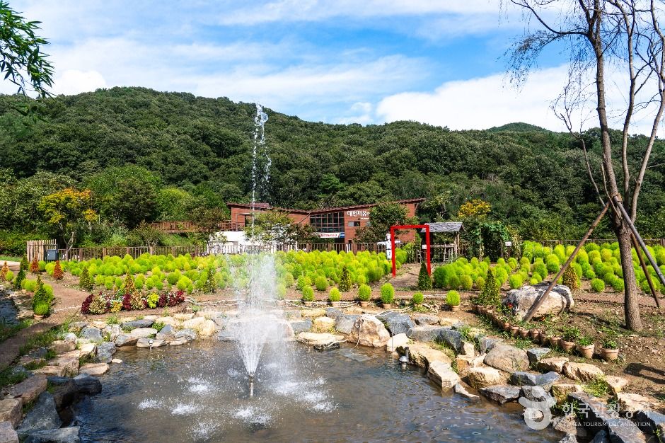 대전 치유의 숲